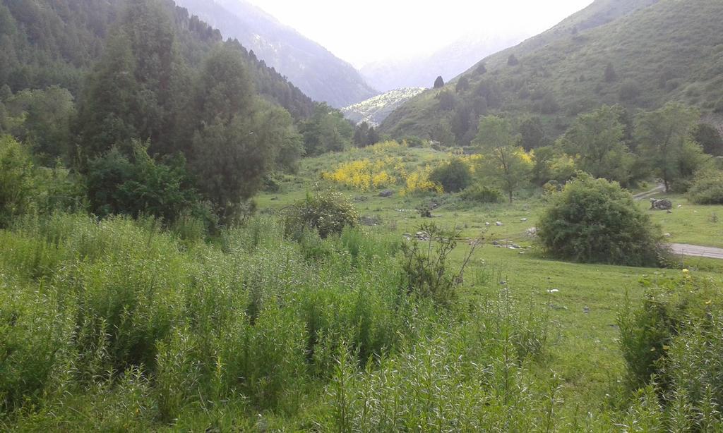 Guest House Fairy Tale Kaji-Say Екстер'єр фото